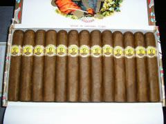 Bolivar Royal Coronas #3