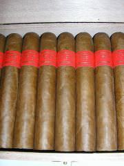 Partagas Serie D No.4 #5