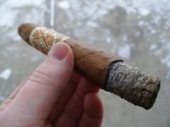 Opus X Shark 09' 034.jpg