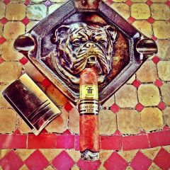 Trinidad Short Robusto T Limited Edition 2010