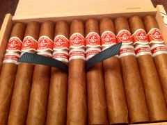 La Flor de Cano