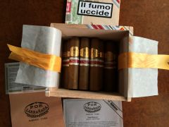 PL Small Robusto