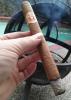 post-17213-0-20125700-1453073502_thumb.j