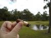 post-22544-0-13586700-1453096255_thumb.j
