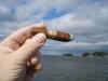 post-22544-0-28466500-1453096254_thumb.j