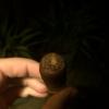 post-28659-0-39001300-1452917977_thumb.j