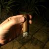 post-28659-0-56733000-1452918025_thumb.j