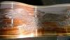 post-15948-0-95704000-1360745344_thumb.j
