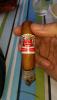 post-23478-0-45528200-1427113893_thumb.j