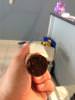 post-12699-0-37185300-1365400865_thumb.j