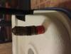 post-18395-0-75233500-1429975155_thumb.j