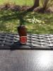 post-24125-0-77295000-1428289031_thumb.j