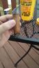 post-24688-0-97700800-1460762286_thumb.j