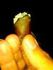 post-16630-0-89129700-1369016437_thumb.j