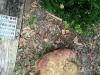 post-20757-0-32843100-1400484368_thumb.j