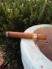 post-20757-0-56817700-1400484293_thumb.j
