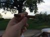 post-24367-0-48821300-1431197475_thumb.j