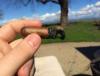 post-24367-0-78476500-1430783643_thumb.j