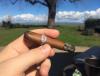 post-24367-0-83470100-1430783598_thumb.j
