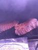post-24820-0-40202300-1431721263_thumb.j
