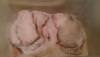 post-13064-0-53346200-1372828258_thumb.j