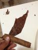 post-15810-0-19856600-1404325754_thumb.j