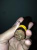 post-15810-0-35304100-1404325764_thumb.j