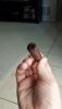 post-25480-0-98303700-1437059410_thumb.j