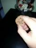 post-15315-0-85397600-1407137478_thumb.j