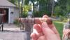 post-19989-0-17471300-1408369041_thumb.j
