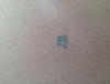 post-17235-0-06273200-1439690698_thumb.j