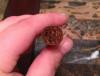 post-17594-0-00755600-1382486204_thumb.j