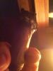 post-19958-0-78060300-1414259071_thumb.j