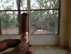 post-15810-0-82842200-1388344170_thumb.j