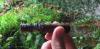 post-26457-0-42715400-1450159023_thumb.j