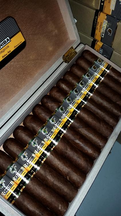 Cohiba Magicos PSP TOS JUN 16.jpg