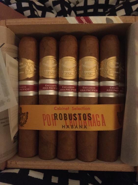 PL Robustos 3.JPG