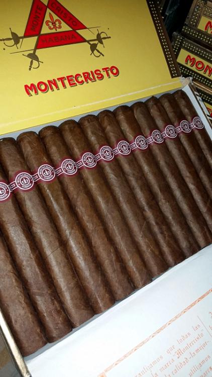 Monte 4 JUN 16.jpg