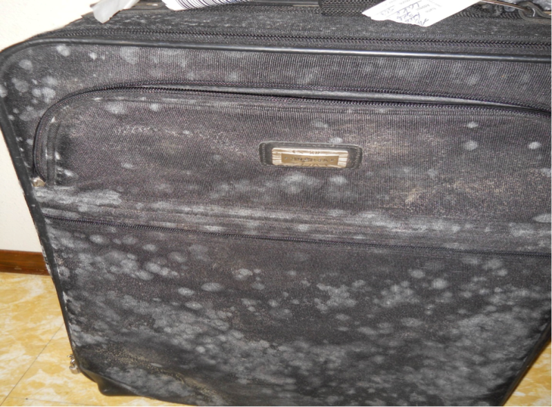 mold-on-suitcase.png