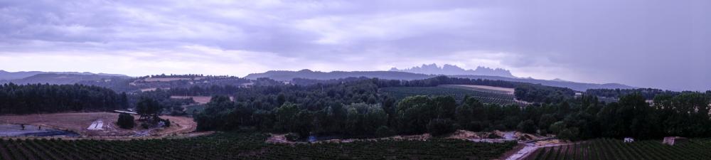 _DSF0254.jpg