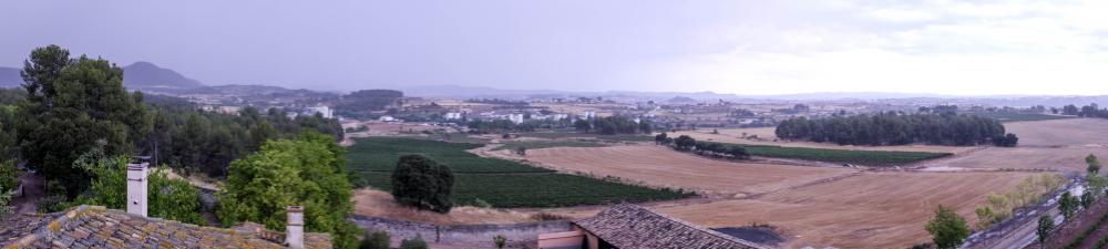 _DSF0255.jpg