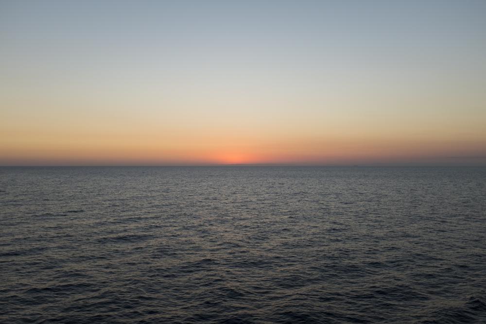 _DSF0350.jpg