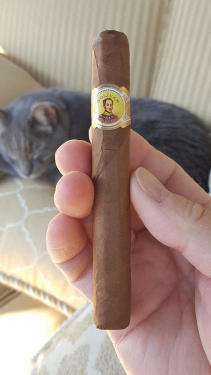 BolivarPetitCorona.jpg