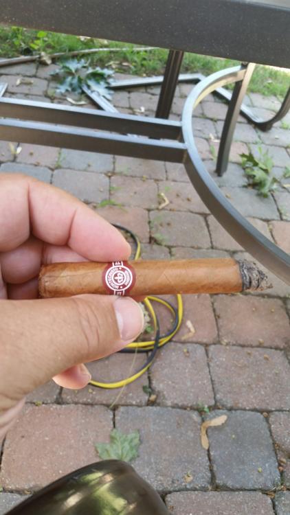 20160707_143757_resized.thumb.jpg.d988b9fd2afbd1600a4b5b6e7ef41ea5.jpg