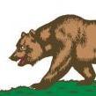 Siberian Bear