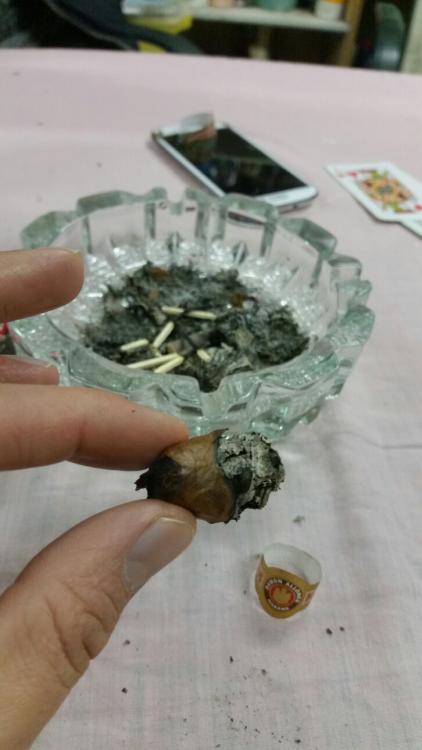 2016-10-11 01.08.45.jpg