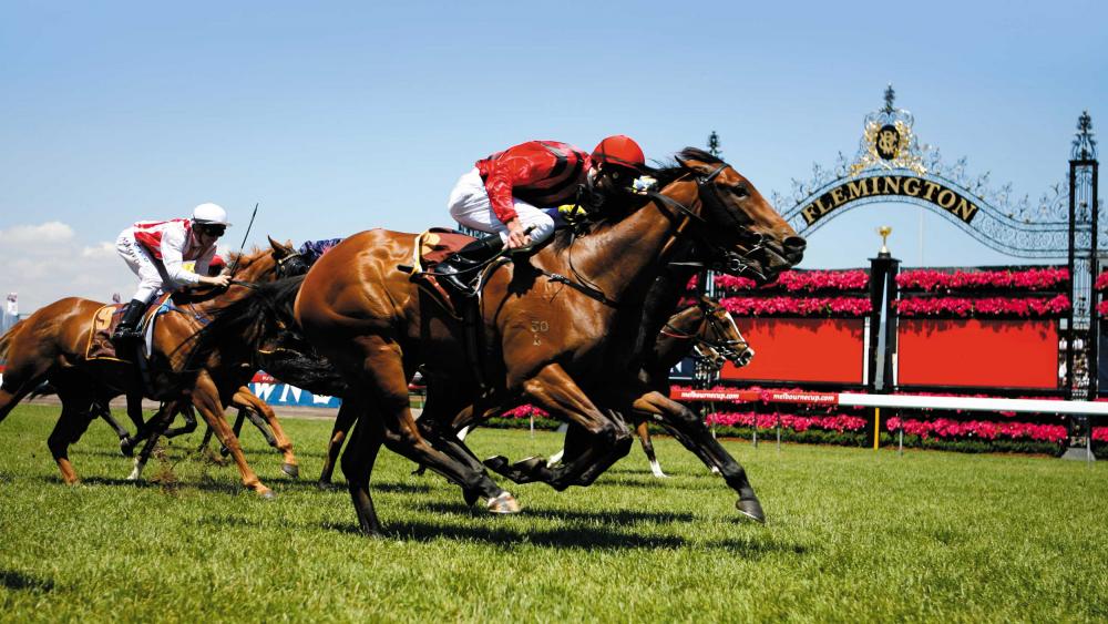 Horse-Racing-Image.jpg