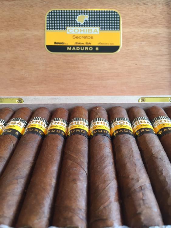 cohiba 1.JPG