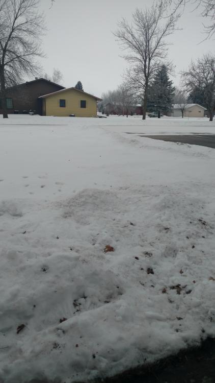 IMG_20161224_111409518.jpg