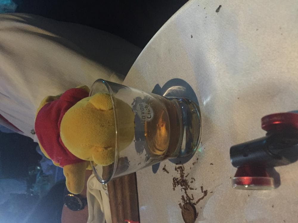 PoohatThePartagsdinner.thumb.JPG.5b8d651fbcd5f6644d3052726ee5acb7.JPG
